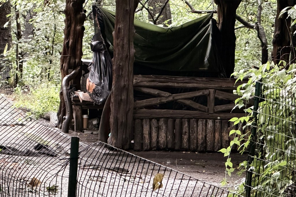 Beloved homeless artist Lee Rogers, 63, known for her Central Park bird paintings, was found brutally murdered in a park gazebo.